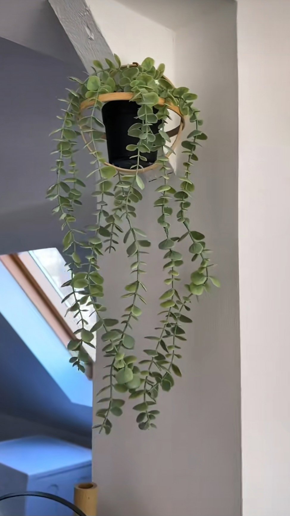 Maceta de aros de madera