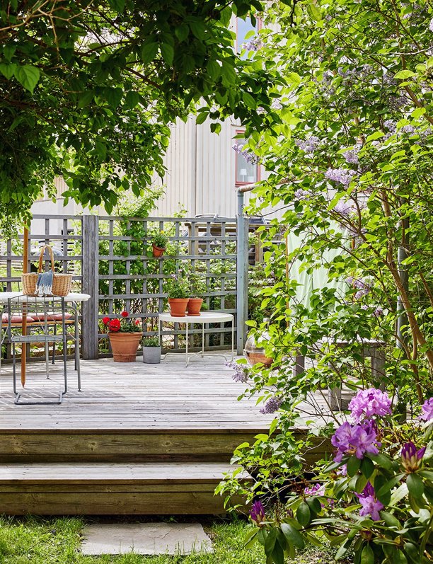 25 frases sobre plantas que nos hacen reflexionar