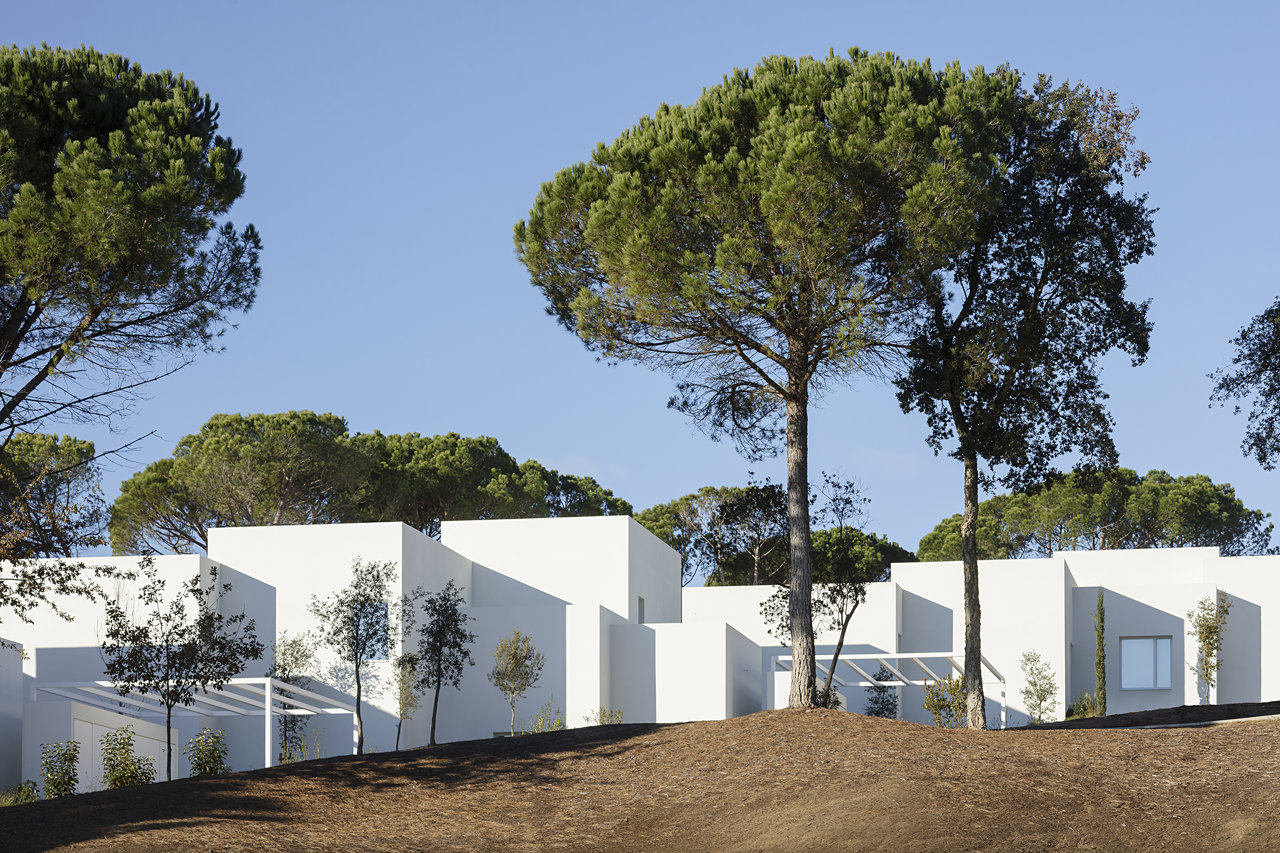 El objetivo de las viviendas es esconderse bajo la sombra espesa de los pinos y pasar desapercibidas mediante una arquitectura pausada, autóctona y a la vez sorprendente.