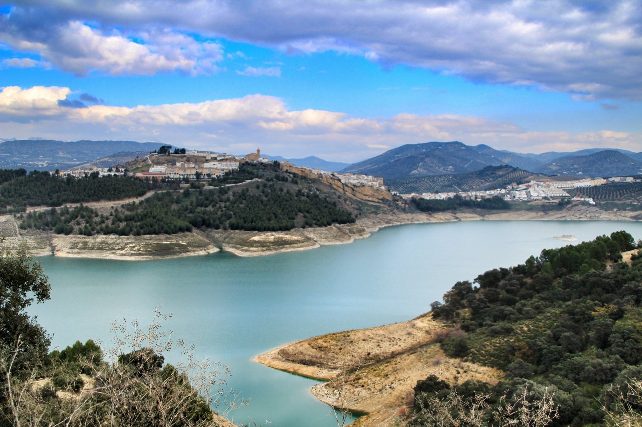 Vistas al pantano