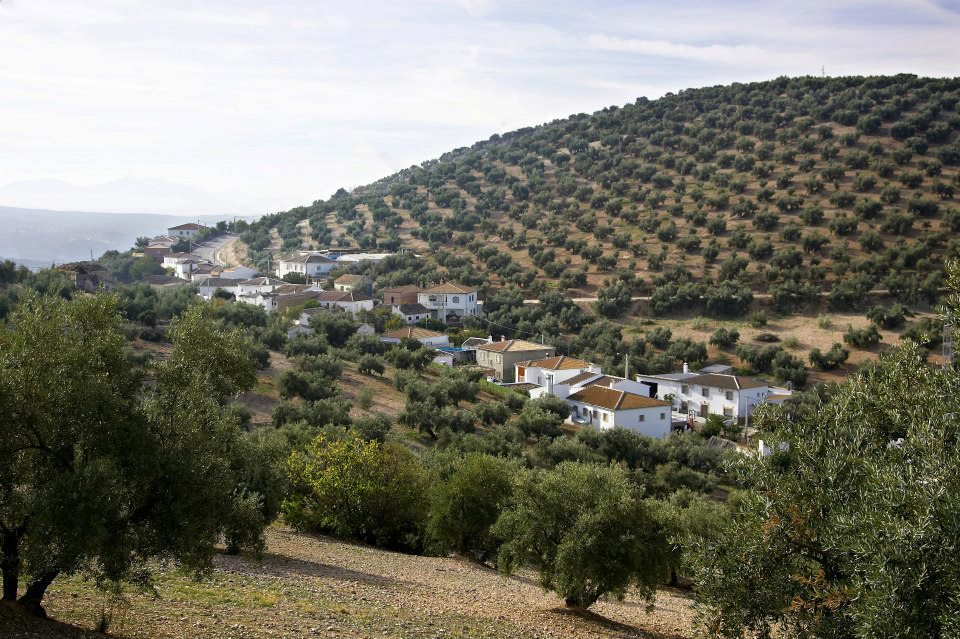 Aldea de Cornona, Algaida y Gata, en Iznájar