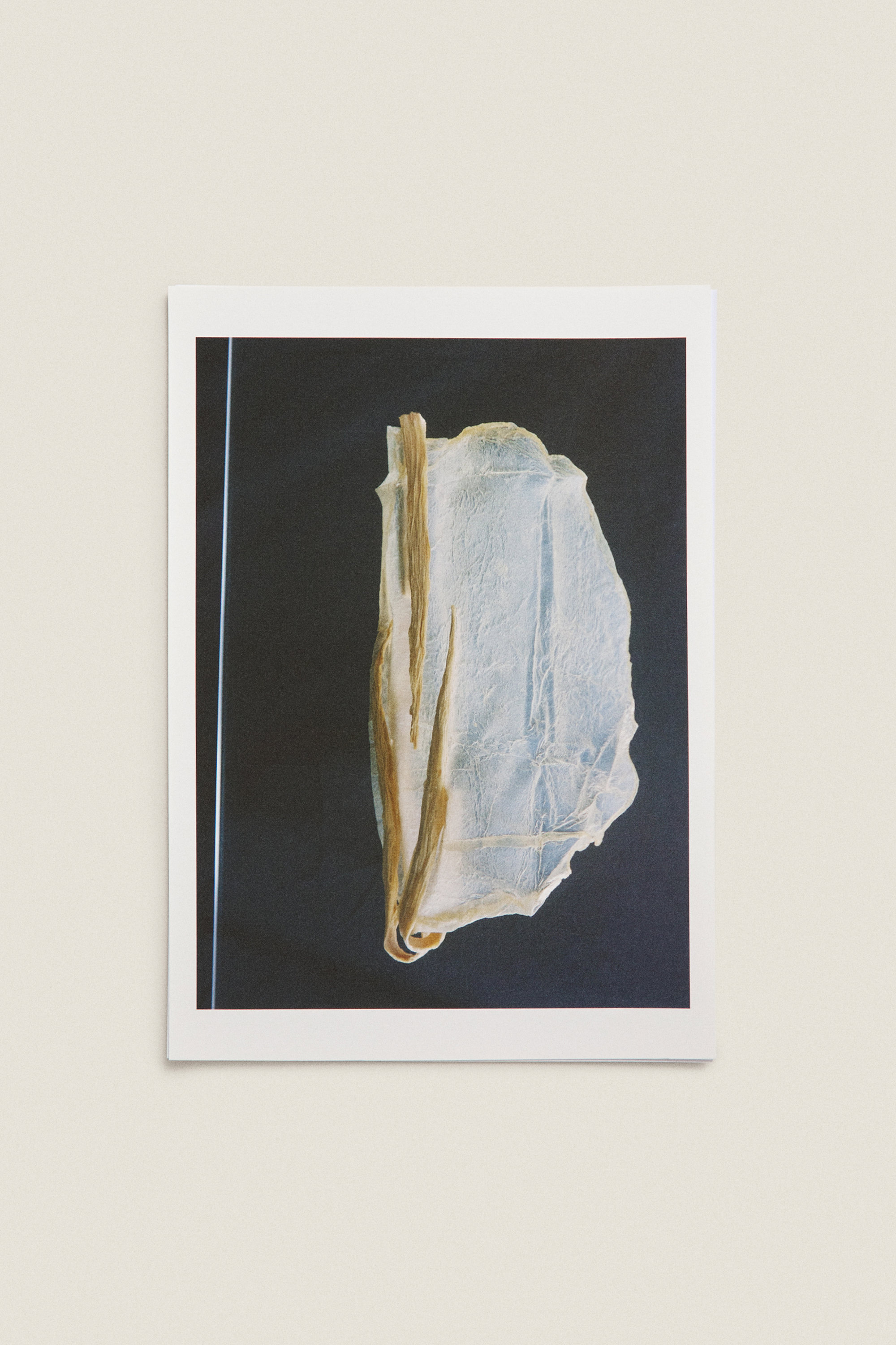 ZARA HOME PRINTS (14)