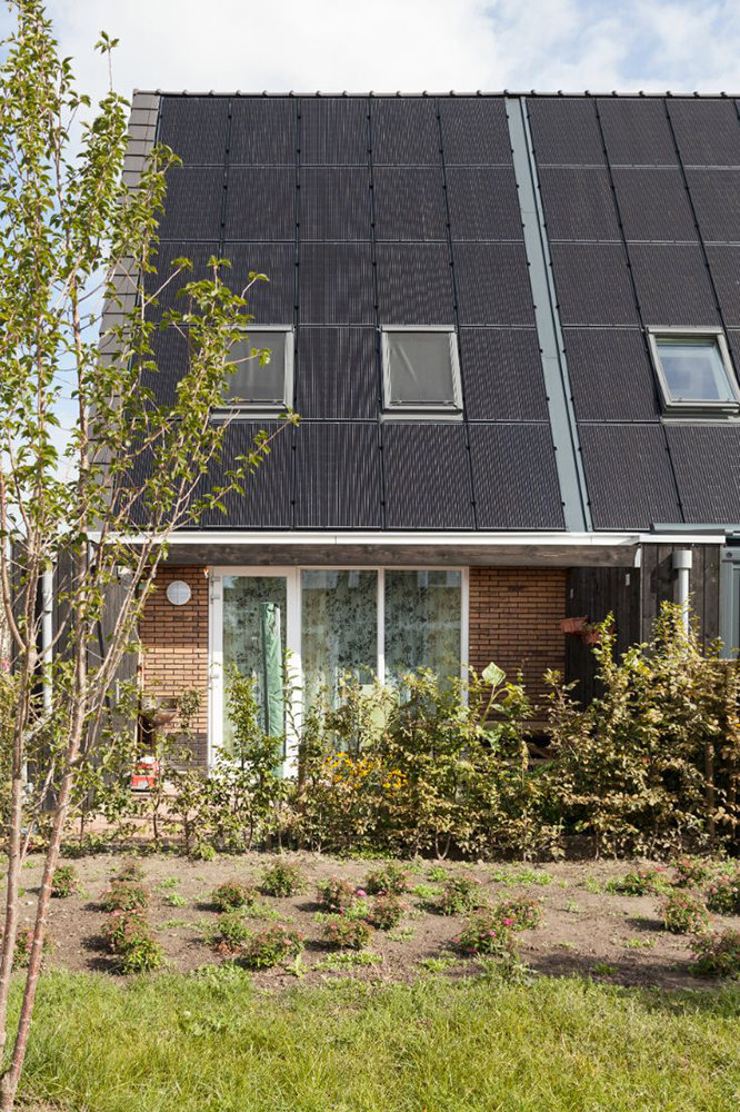 Paneles solares