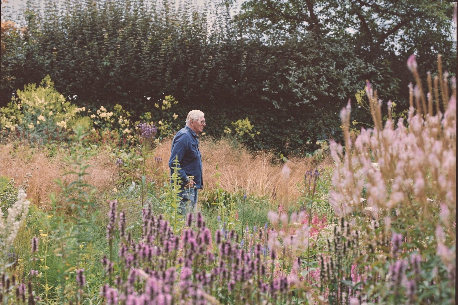 El jardín del paisajista Piet Oudolf en Hummelo, Holanda, es uno de los proyectos recogidos en el libro "The Avant Gardens", de Gestalten (2023).