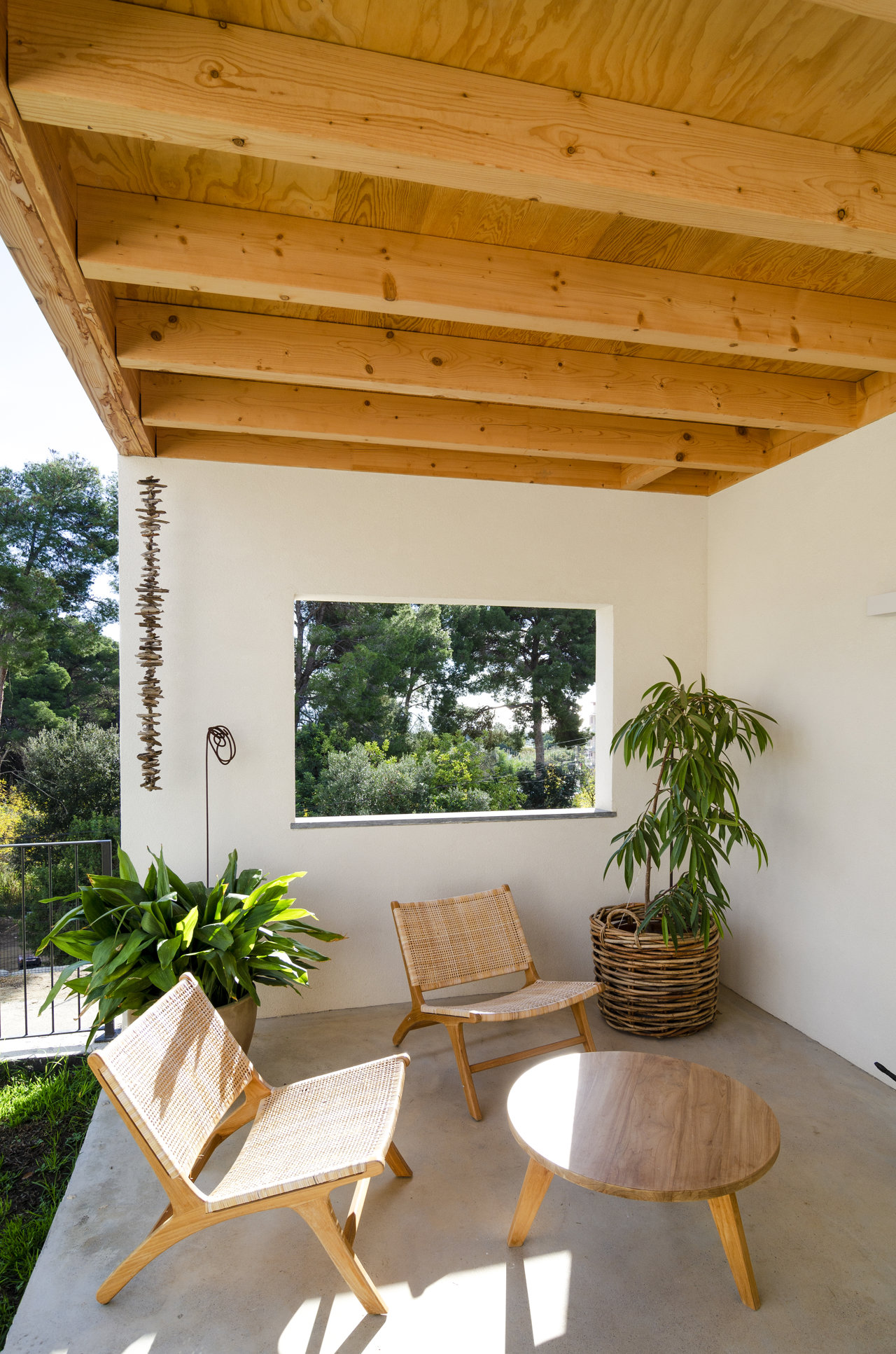 Plantas naturales como elementos decorativos