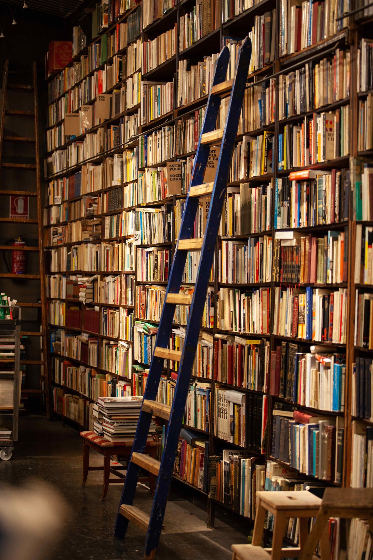 Todos los libros que imagines.