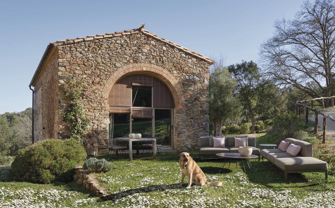 El perro Bobo en la pradera creada por África