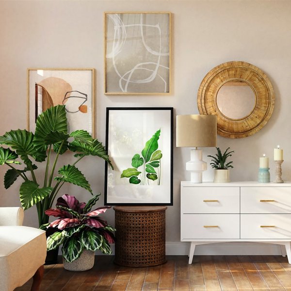 Las mejores plantas para casas pequeñas y 9 trucos para decorar con ellas