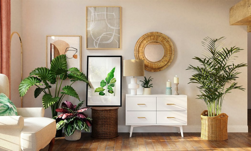Las mejores plantas para casas pequeñas y 9 trucos para decorar con ellas