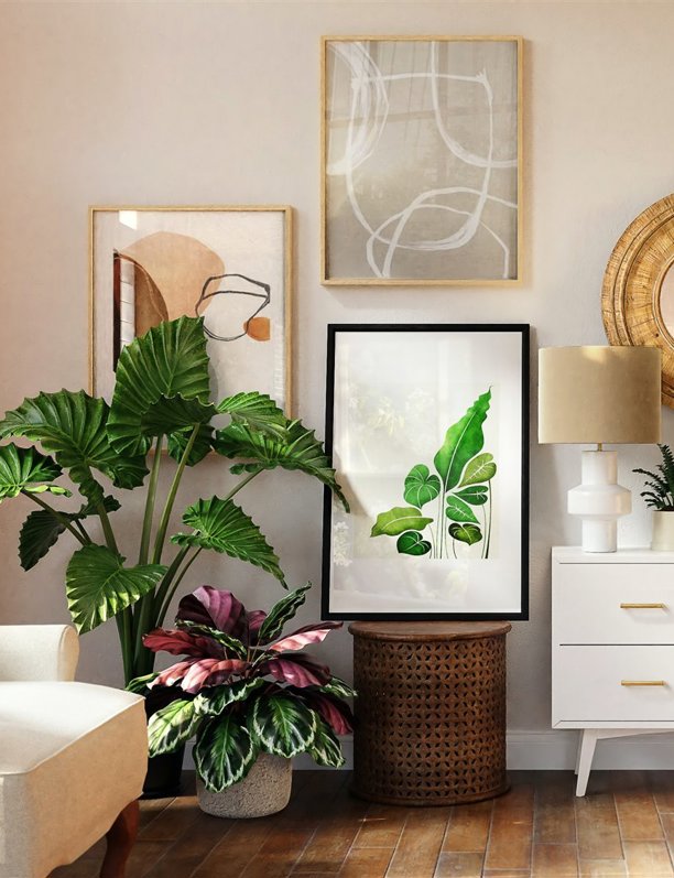 Las mejores plantas para casas pequeñas y 9 trucos para decorar con ellas