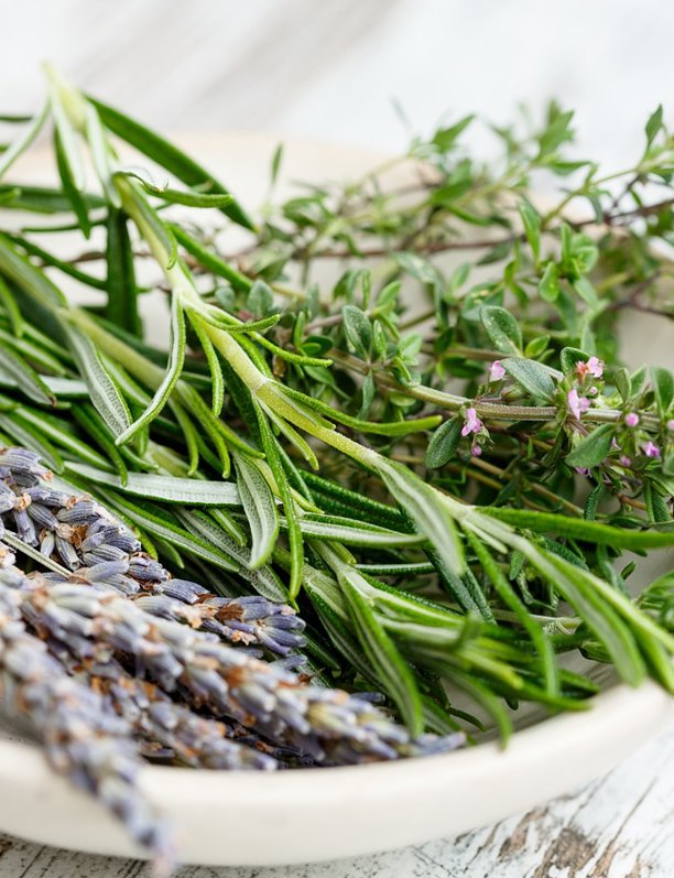 Tomillo: por qué cultivar esta planta aromática en casa y cómo cuidarla