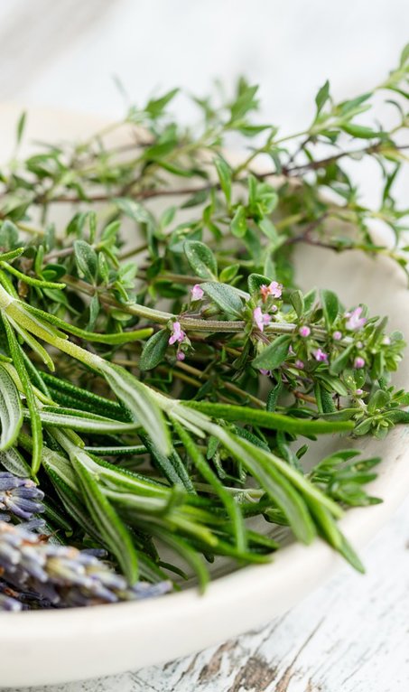 Tomillo: por qué cultivar esta planta aromática en casa y cómo cuidarla