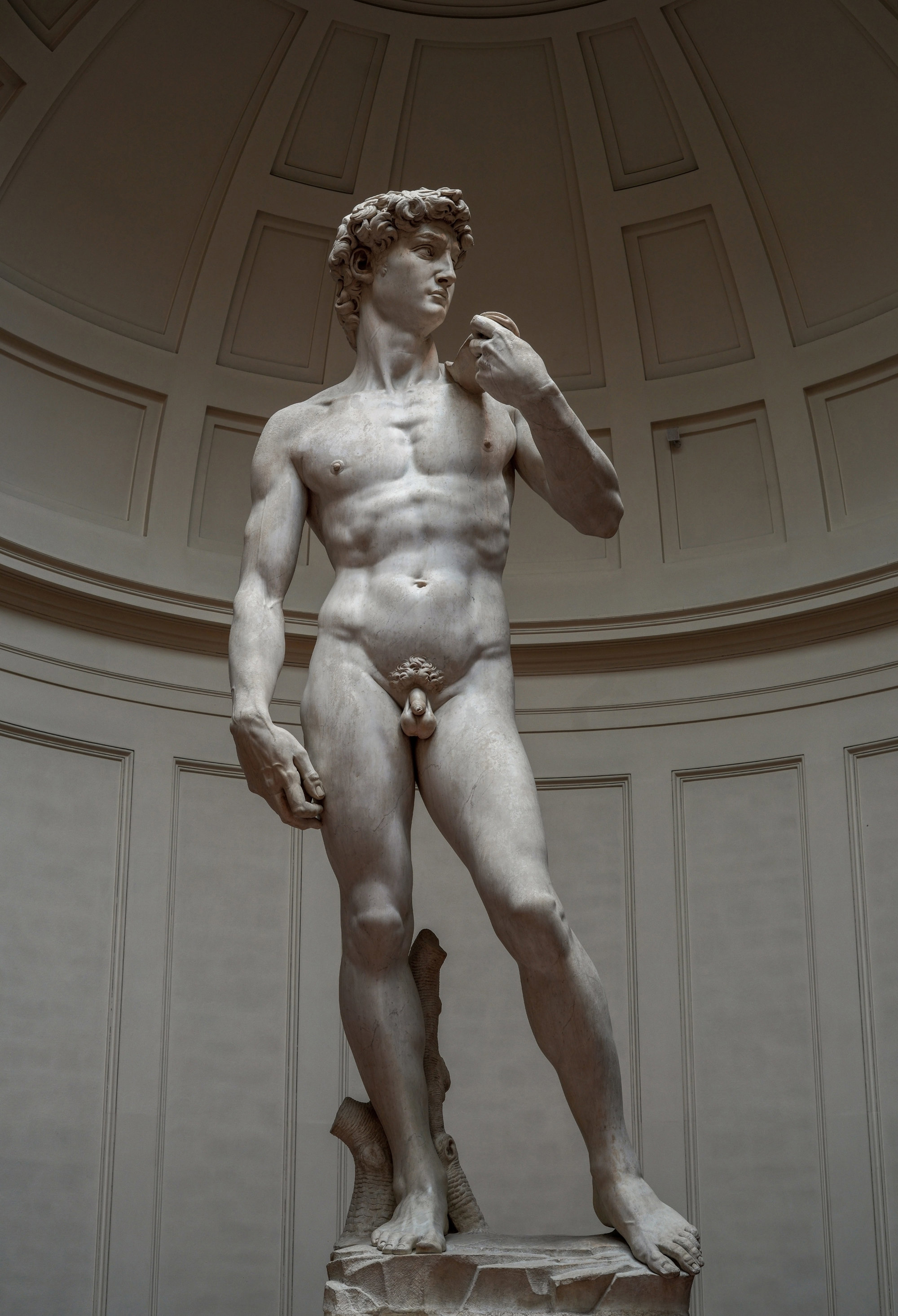 El David, Miguel Ángel Buonarroti, 1501-1504