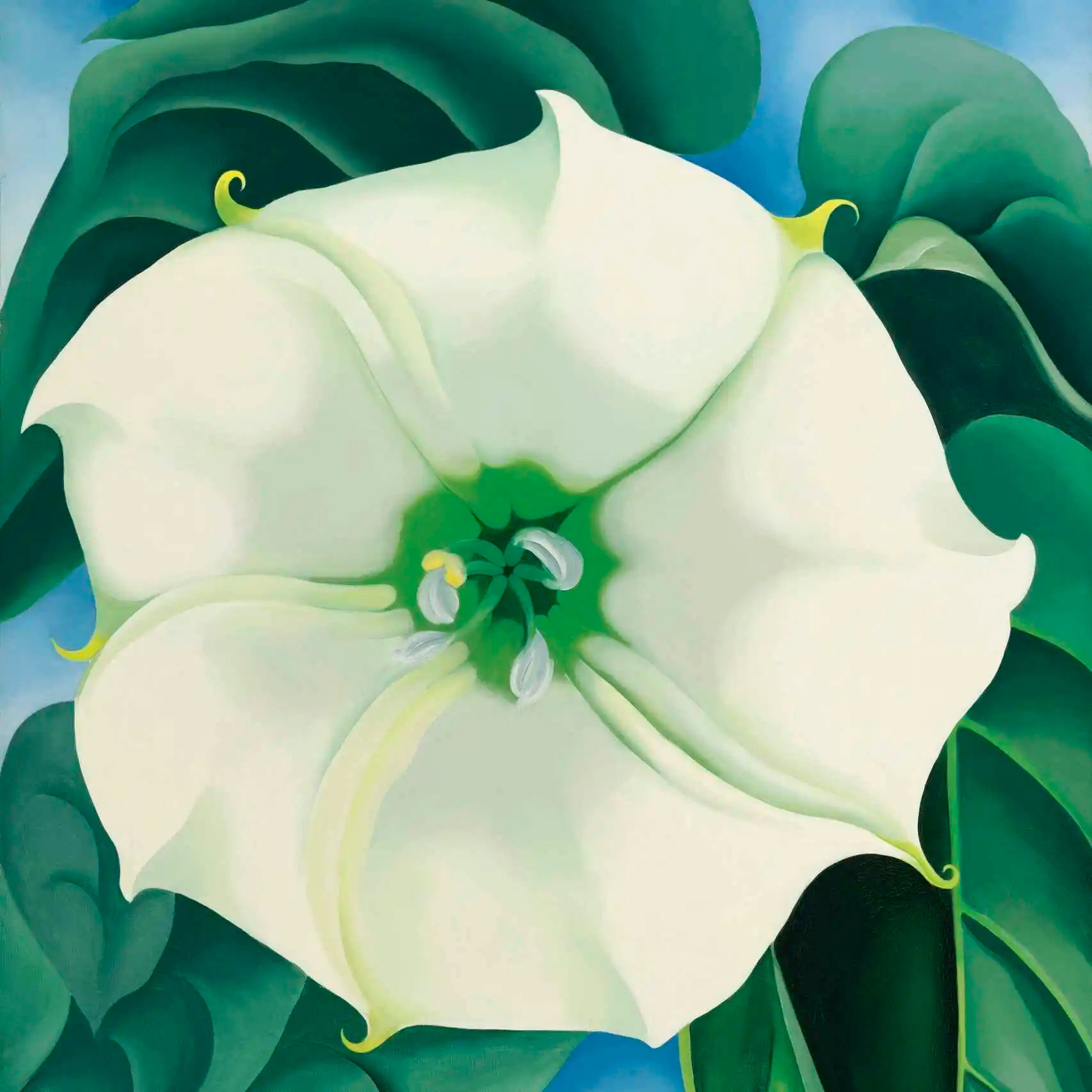 Flor Blanca nº1, Georgia O'Keeffe, 1932