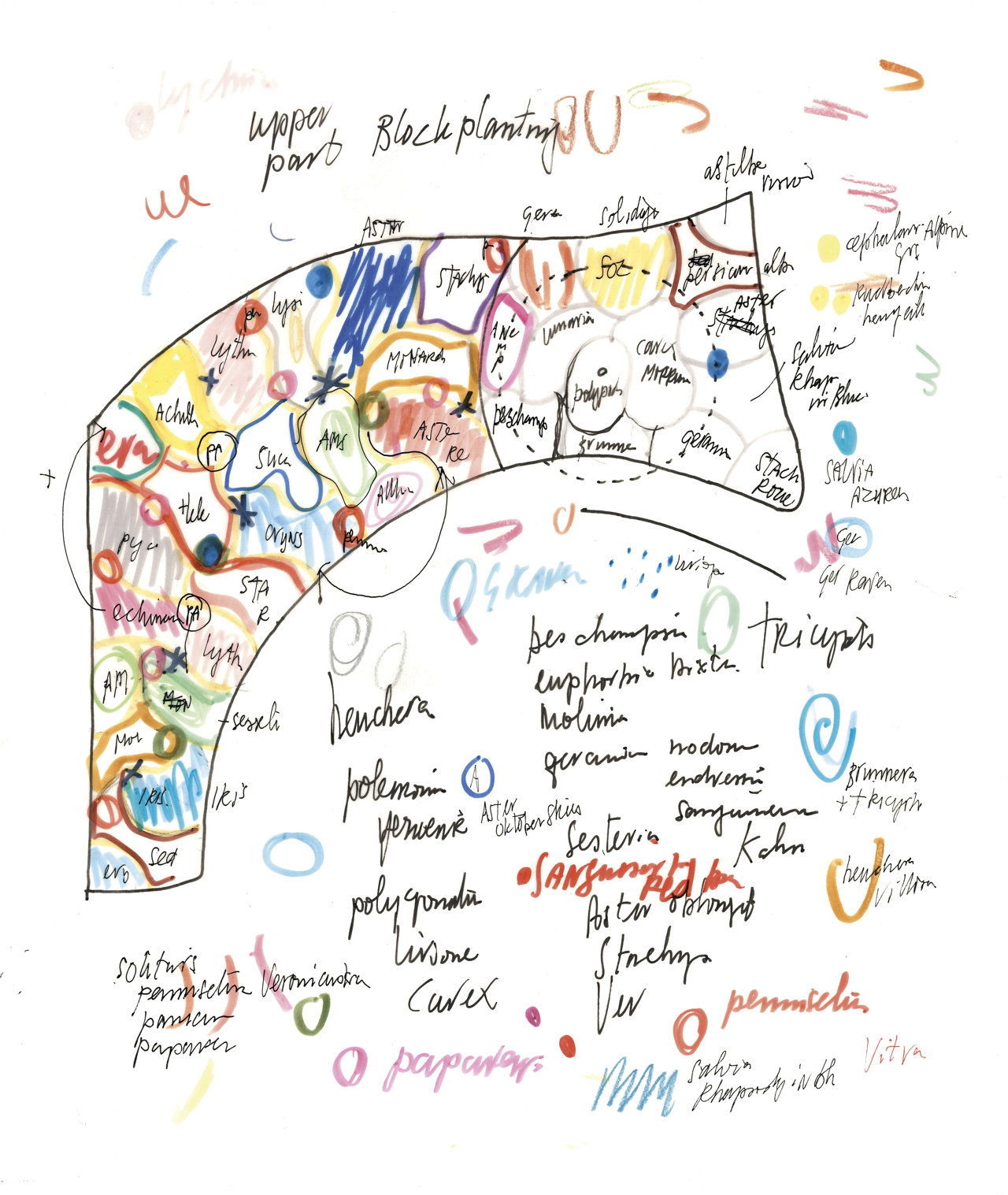 Boceto del proyecto de Piet Oudolf