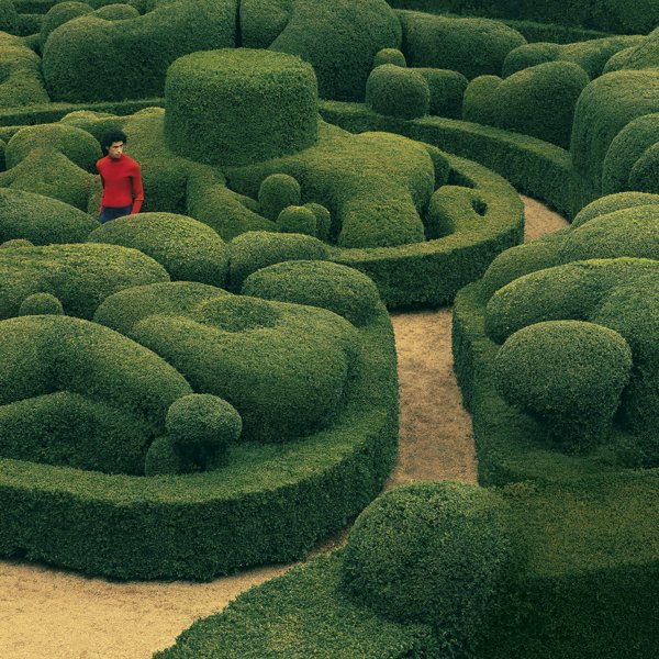 ¿Cómo pueden contribuir los jardines a crear un futuro sostenible?