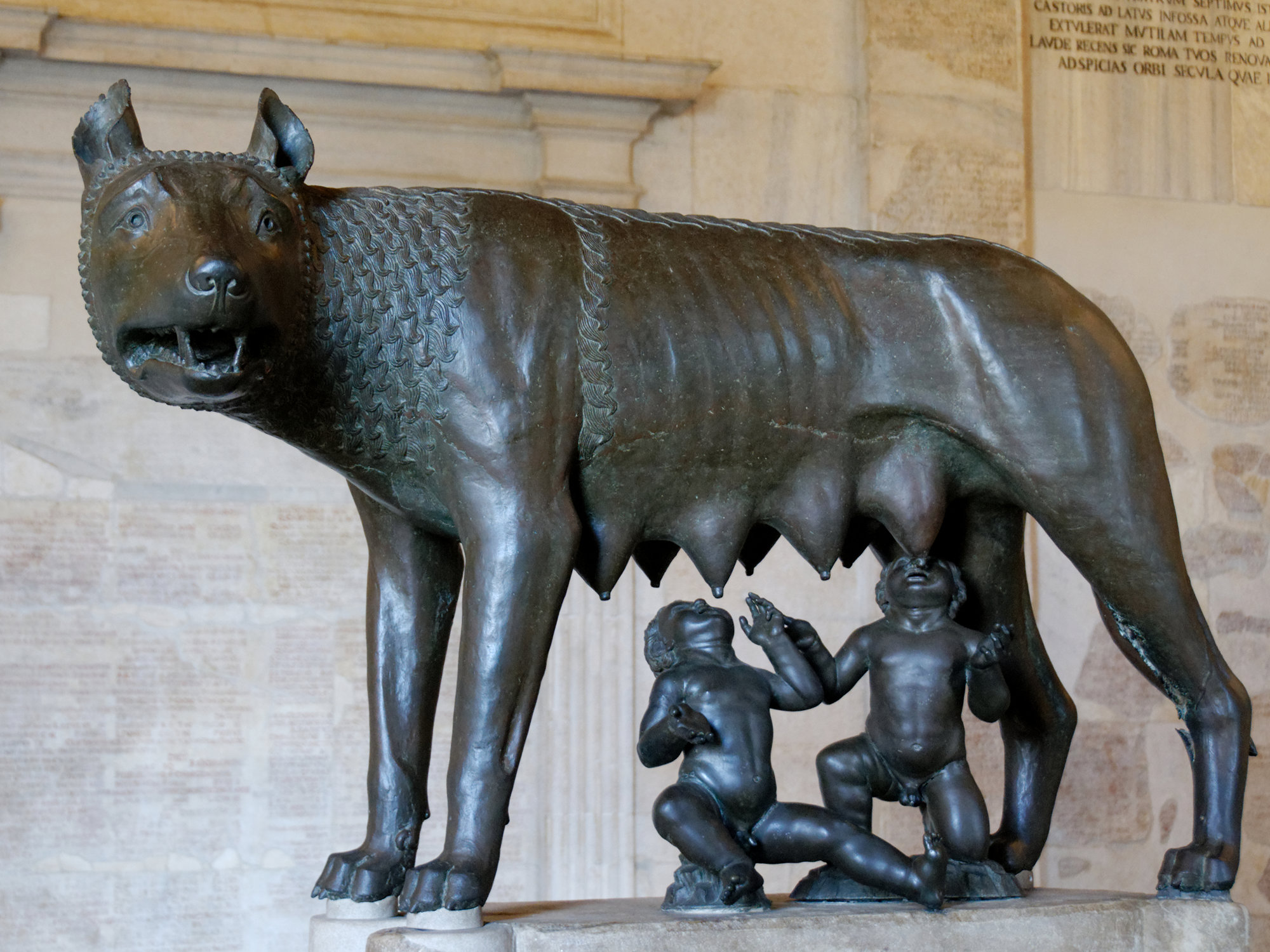 Loba capitolina