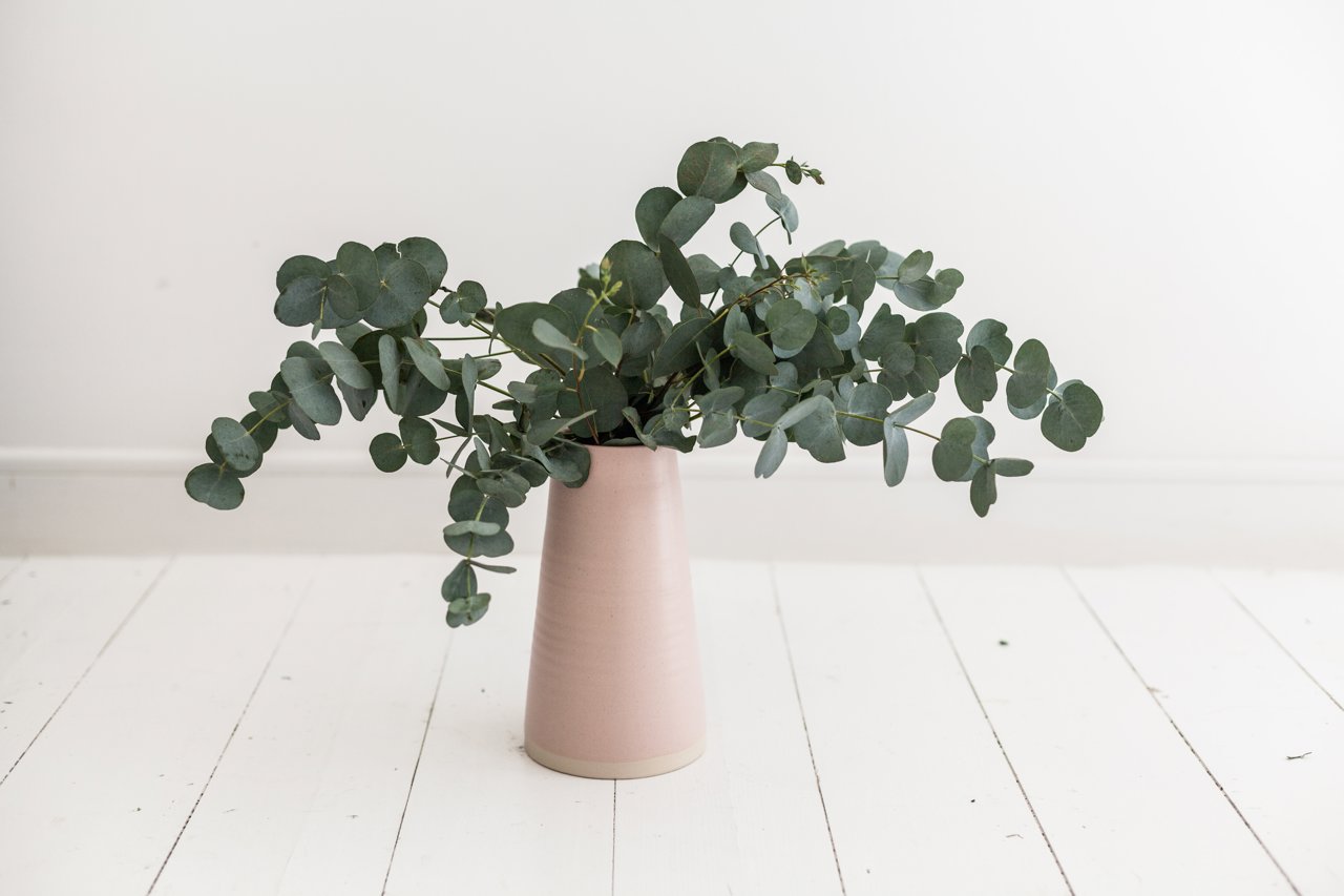 Esta planta es apreciada por su madera dura y resistente