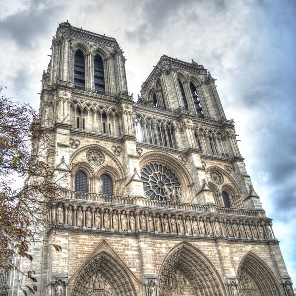 La reconstrucción de Notre Dame se está llevando a cabo como en la Edad Media