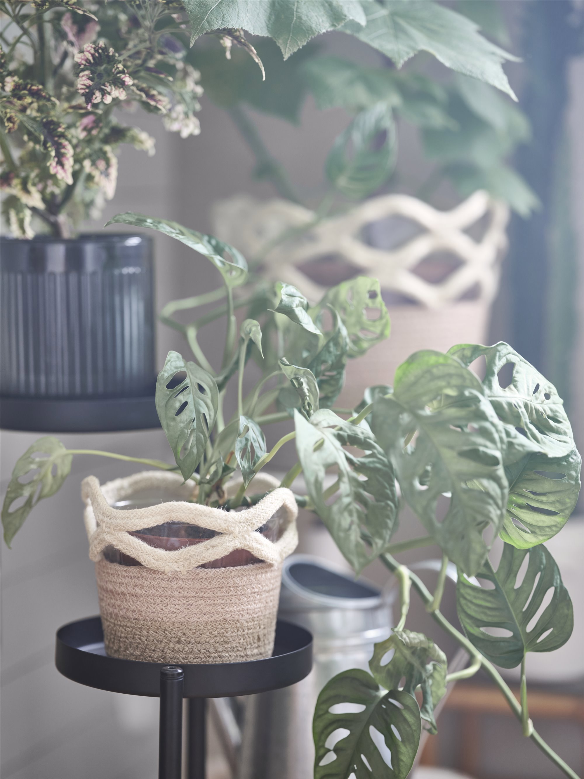 Macetas de yute beige con plantas