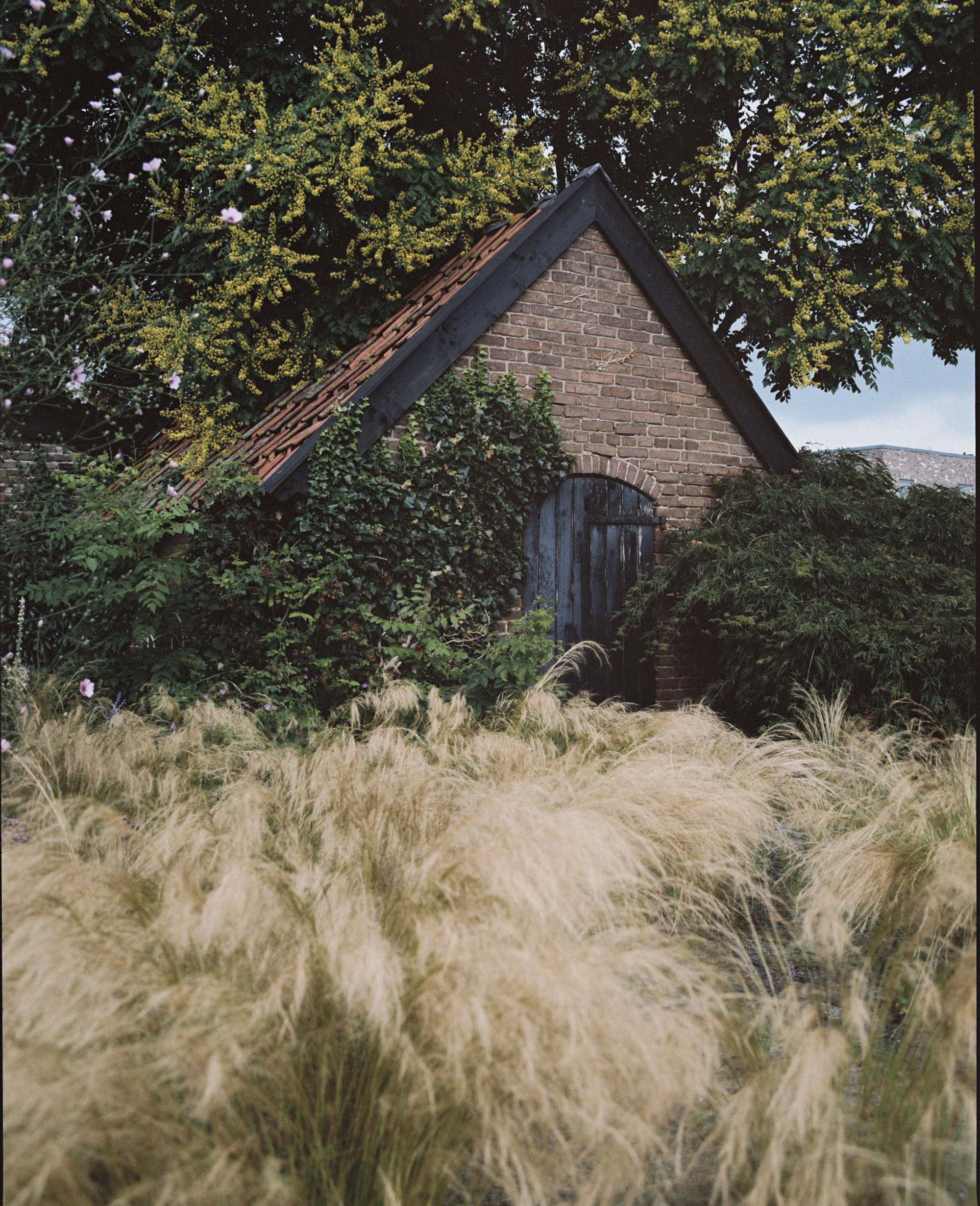 Jardín de la granja Hummelo de Piet Oudolf, en Holanda