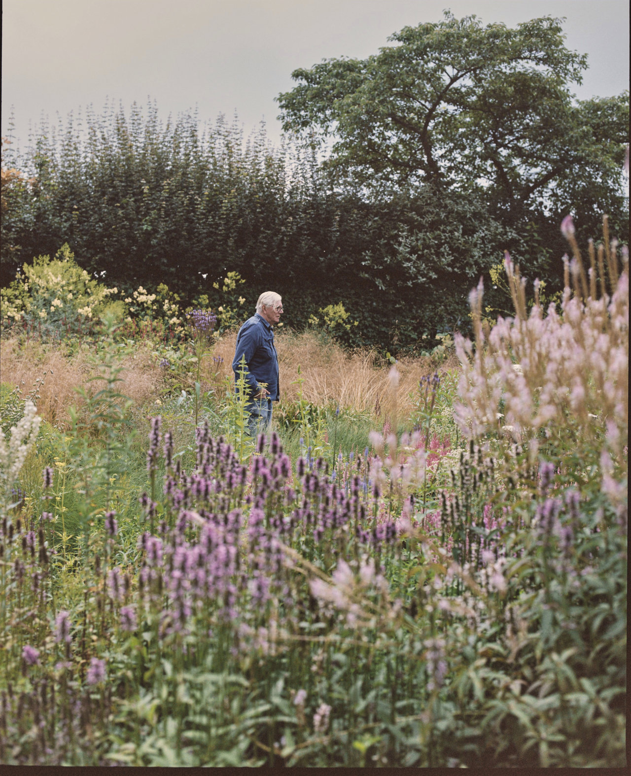 Piet Oudolf en su granja Hummelo, Holanda