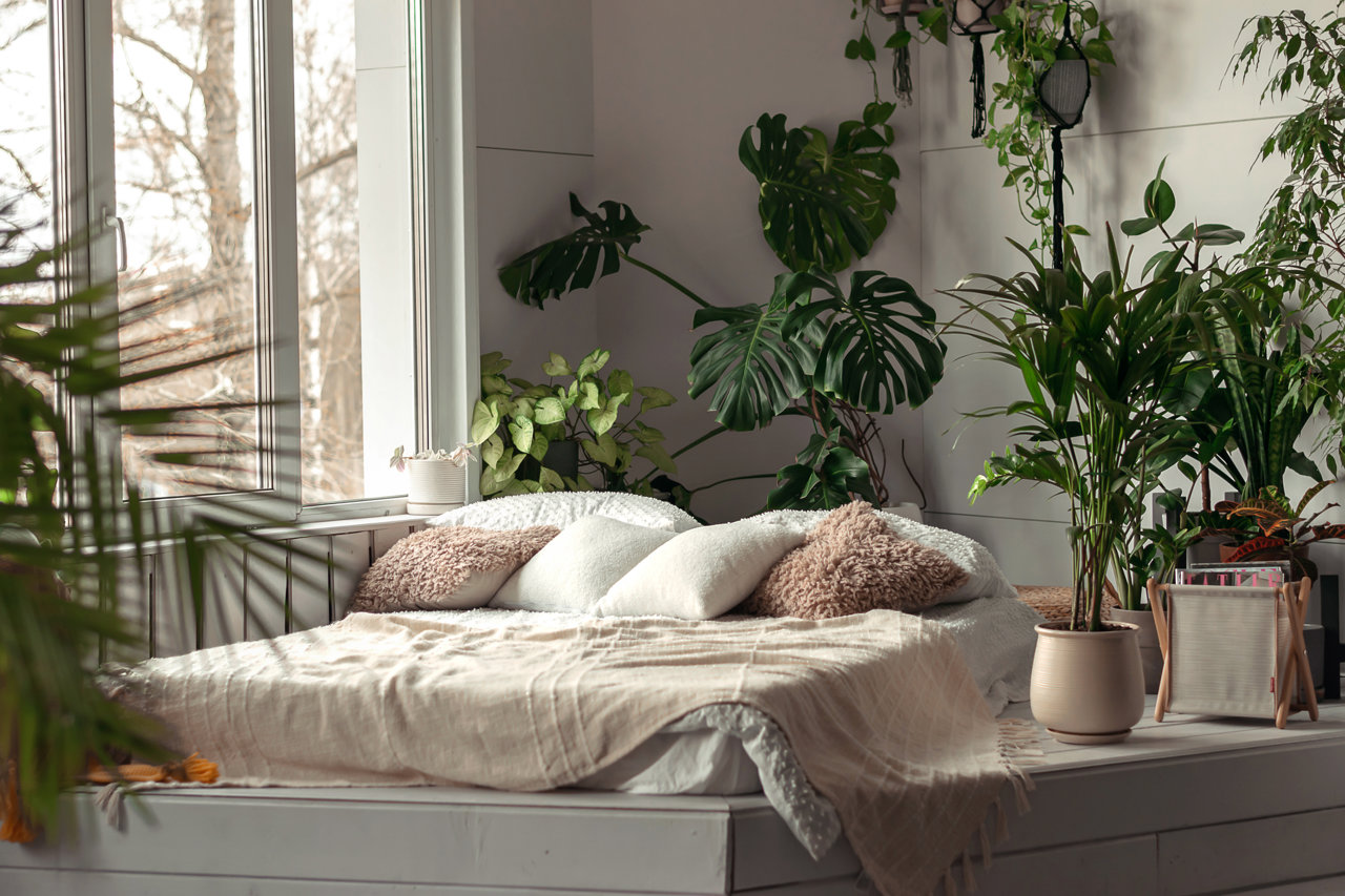 Plantas en el dormitorio