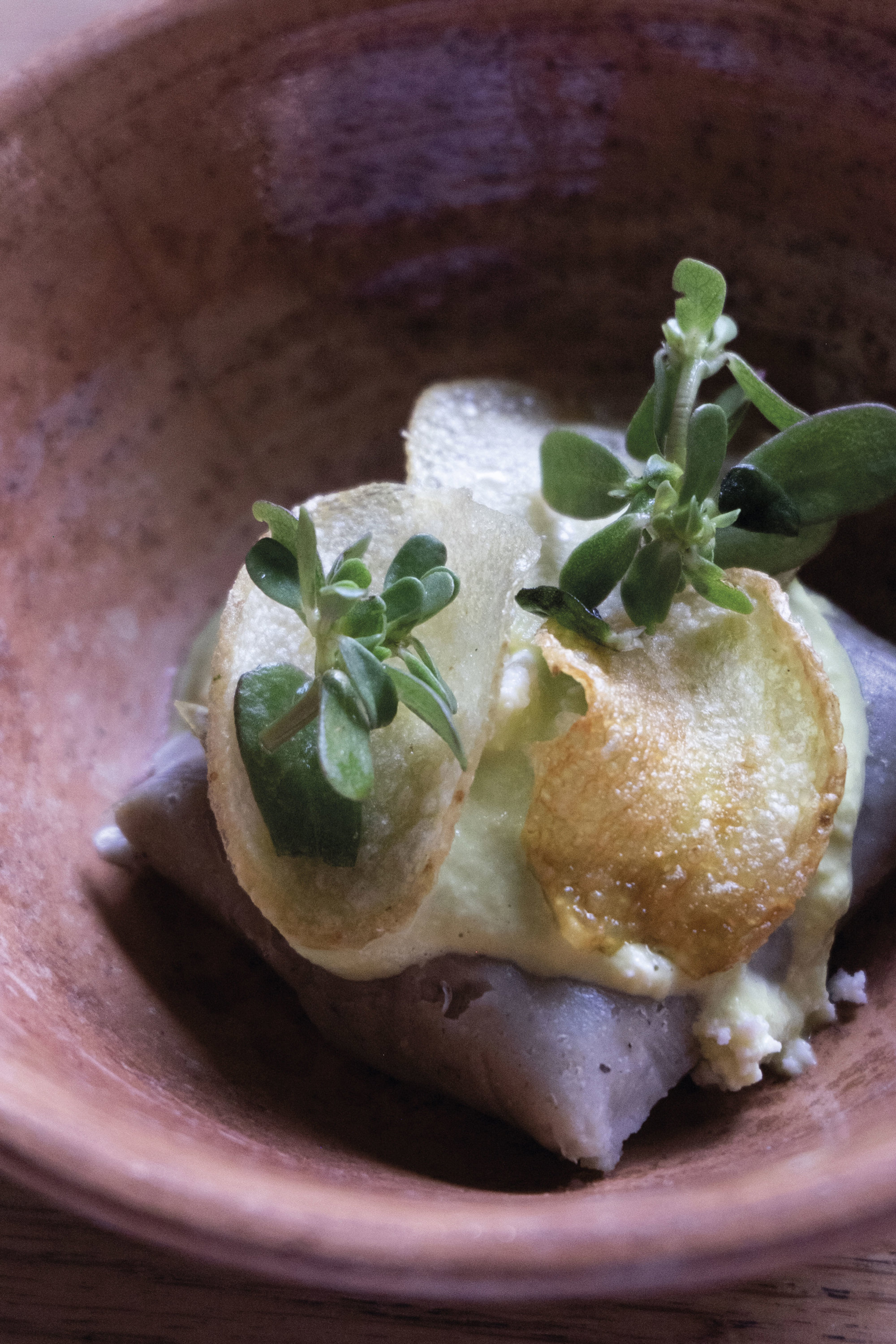 -un plato del restaurante Criollo de Oaxaca de Juárez