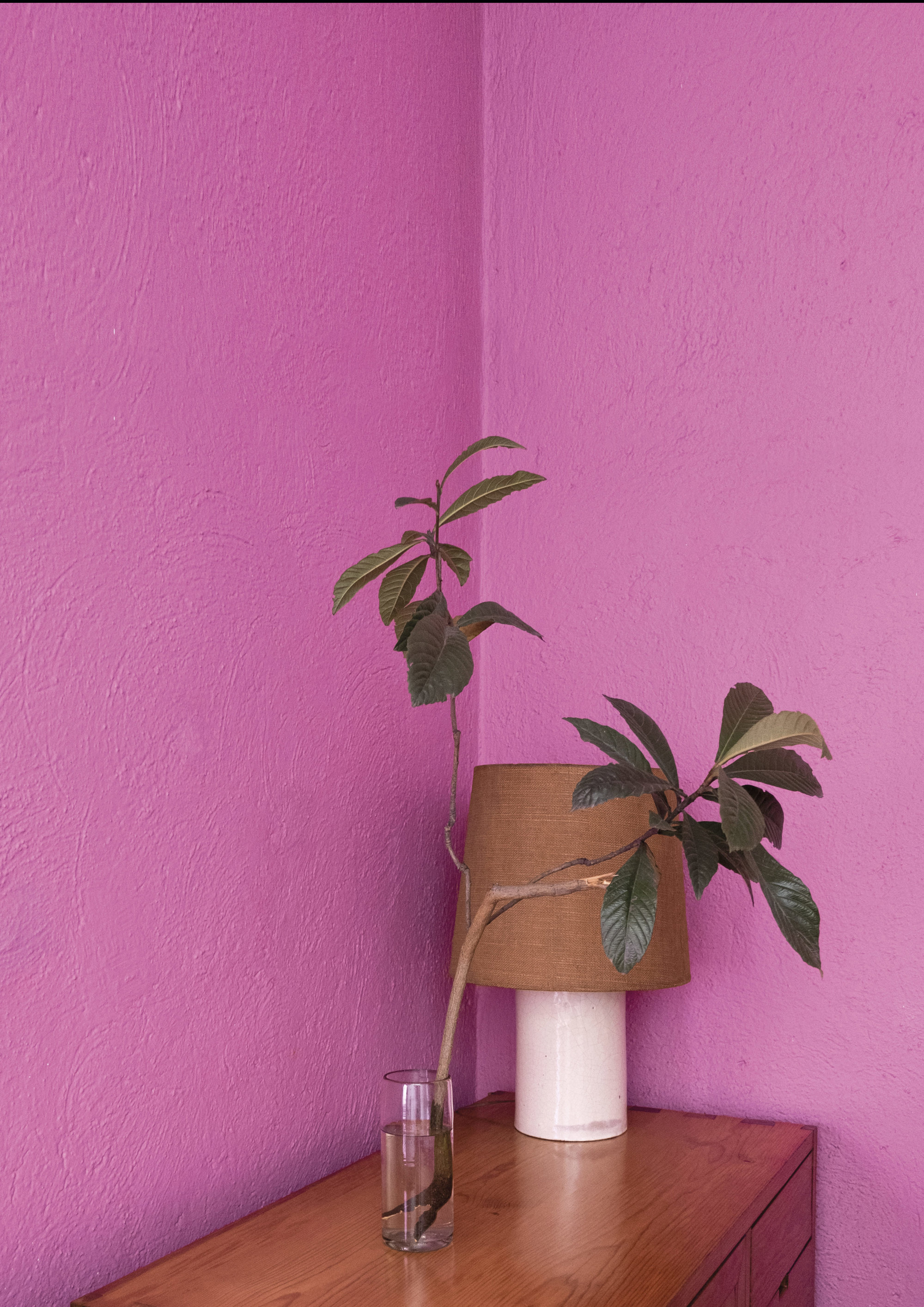 Casa de Luis Barragán en Ciudad de México