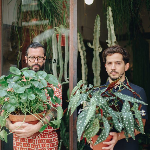 Casa Protea es el secreto mejor guardado de los interioristas para conseguir plantas raras 