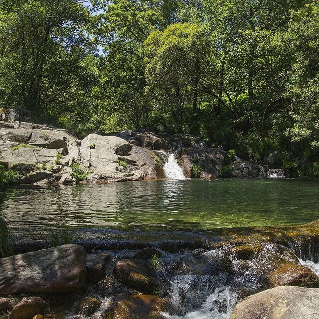 Pozas de melón