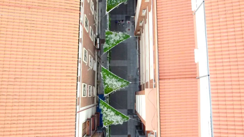 Vista aérea de toldos vegetales