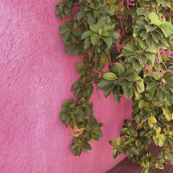 La fuerza del color en México es una fuente inagotable de inspiración
