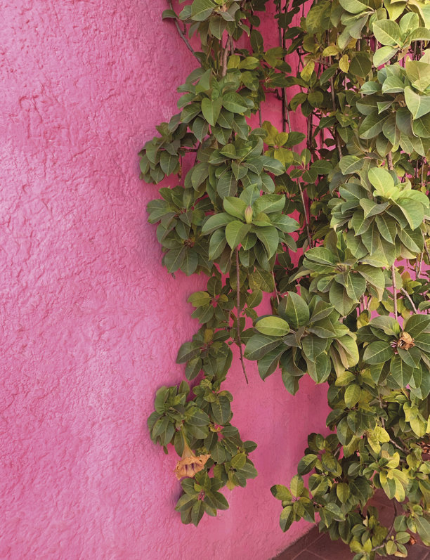 La fuerza del color en México es una fuente inagotable de inspiración