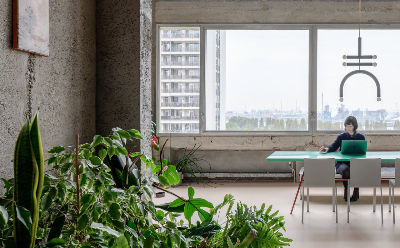 Las plantas dan vida a espacios austeros como los brutalistas con materiales en crudo