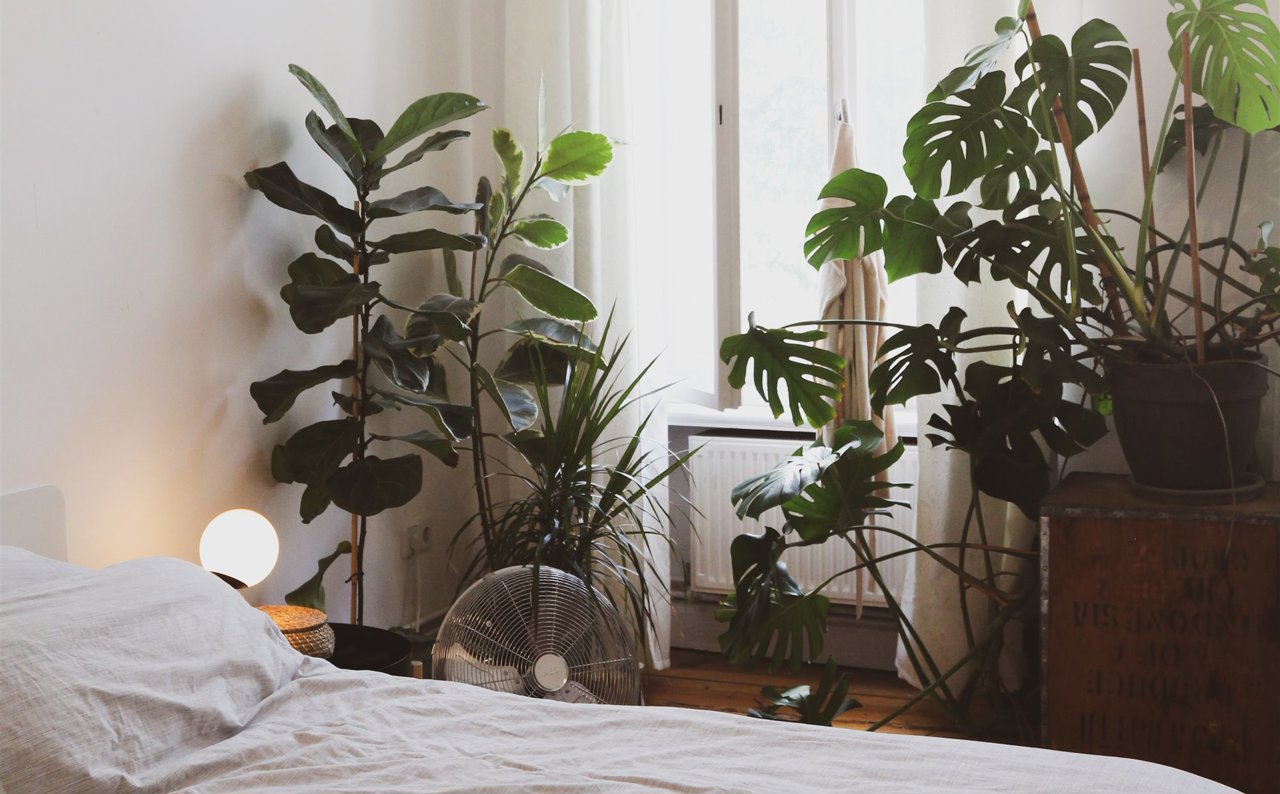Dormitorio con plantas