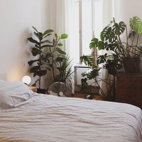 Dormitorio con plantas