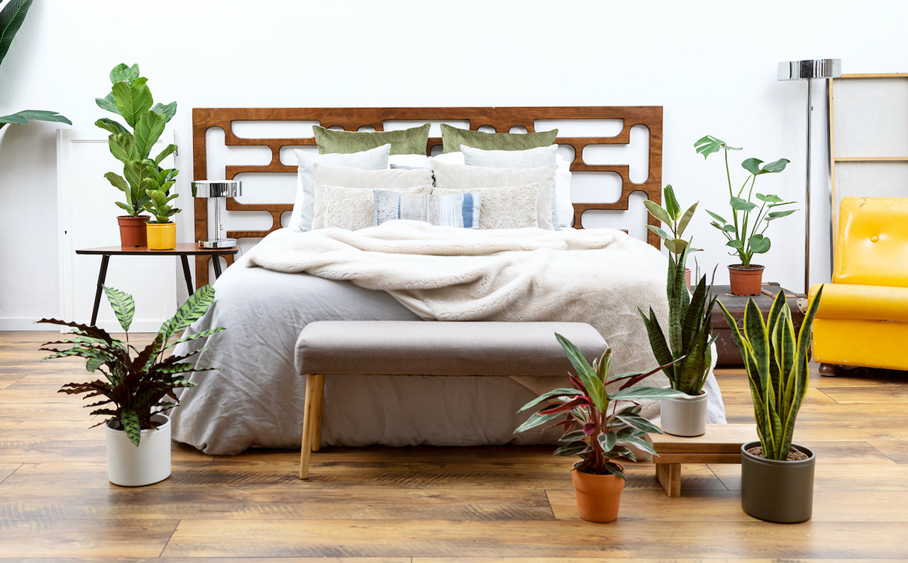 Las plantas favoritas de 2023