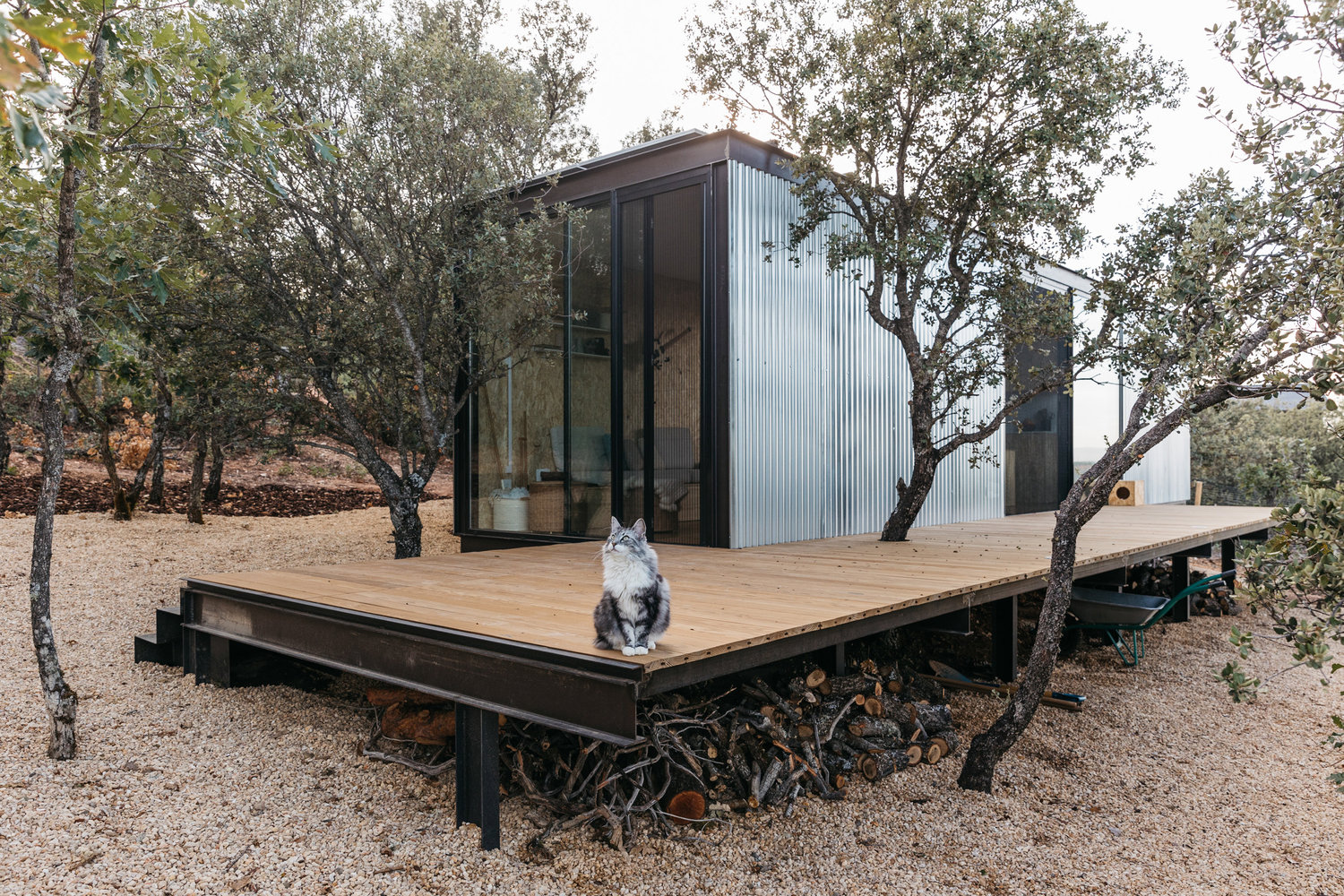 Tiny House gato
