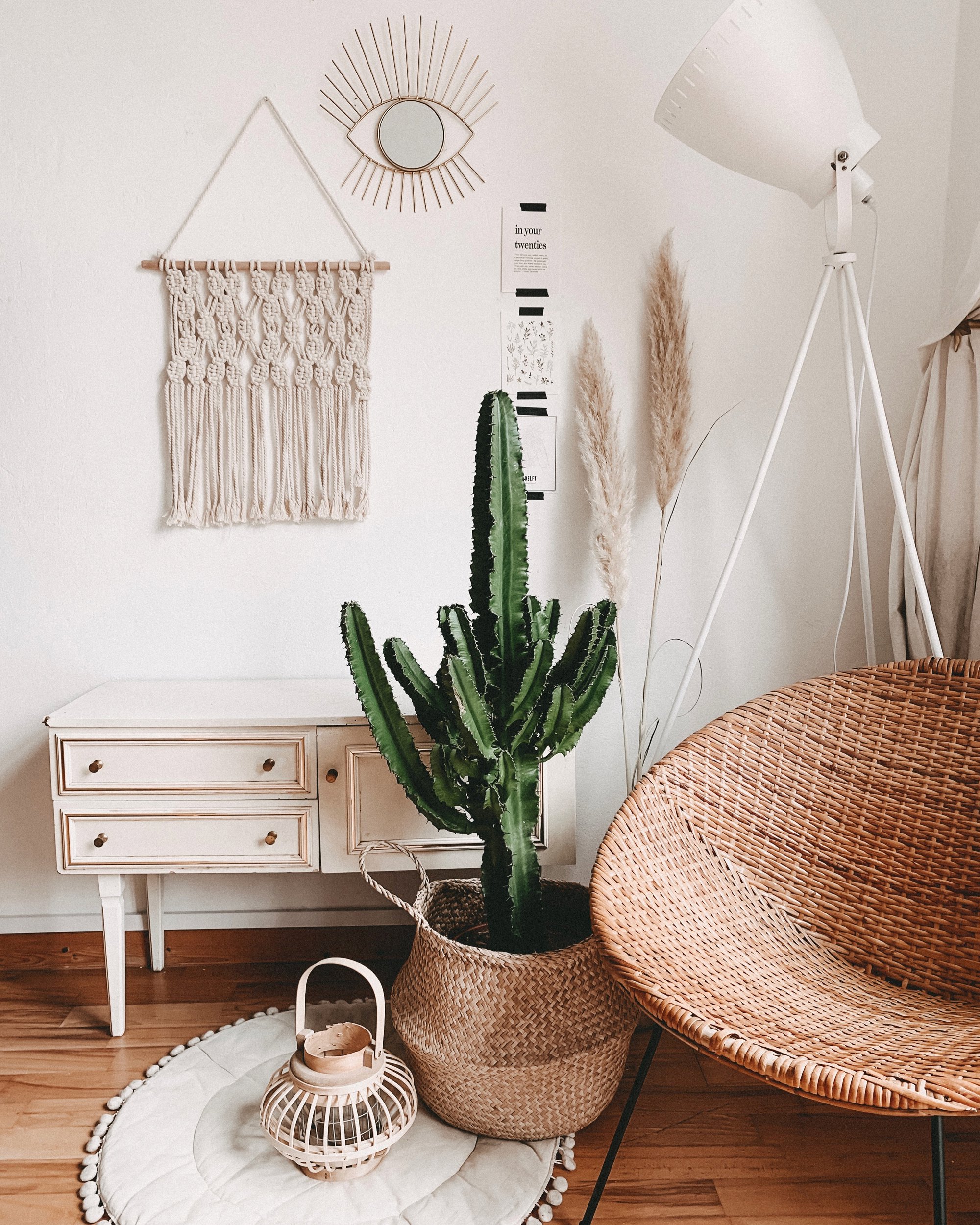 cactus, cómoda blanca y cesto de mimbre