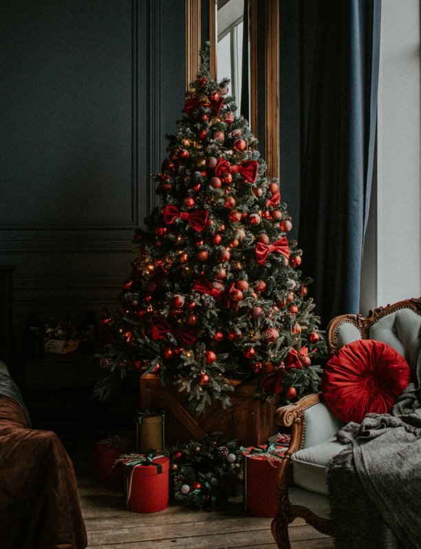 Despide la magia navideña: ¿Cuándo es el momento adecuado para quitar el árbol de Navidad?
